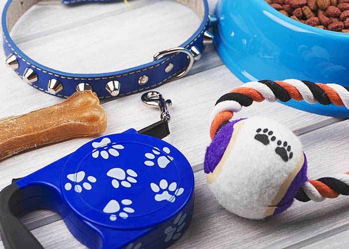 Accessoires chien Angoulême